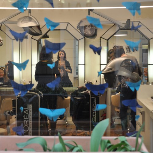 Blaue Schmetterlinge in der Auslage.